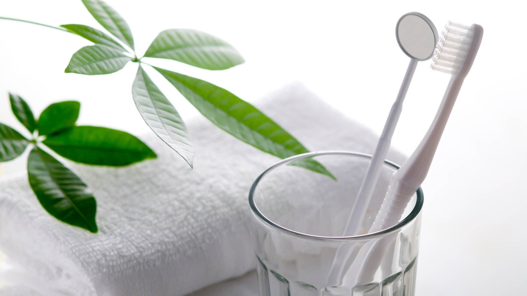 安藤歯科医院における歯のクリーニング・PTMCについて